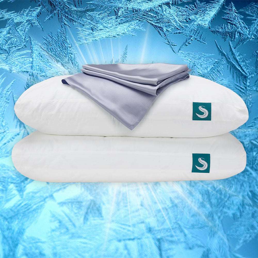 How much are sleepgram pillows best sale